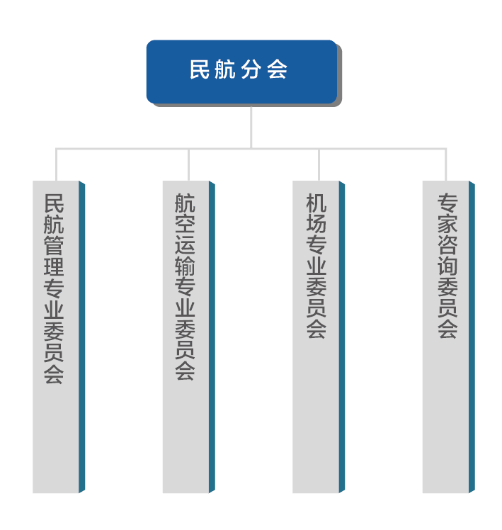 民航分会组织构架.png